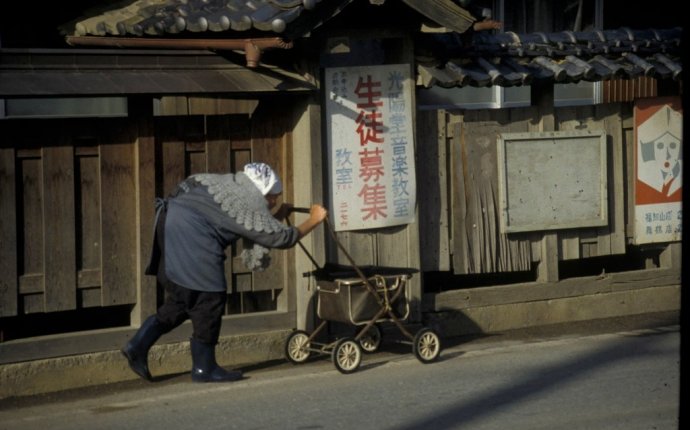 The Japanese Family System