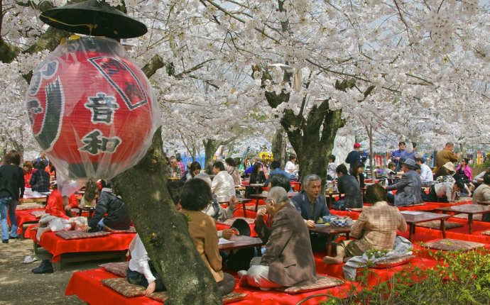 Top 6 Festivals and Celebrations in Japan