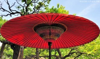 Top souvenirs from Japan - Traditional Japanese Umbrellas